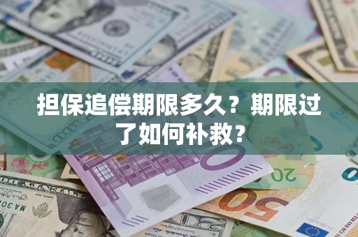 济南担保追偿期限多久？期限过了如何补救？