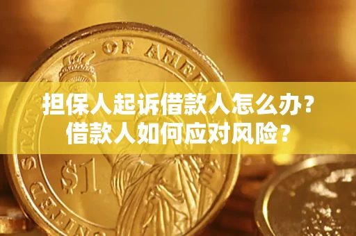 济南担保人起诉借款人怎么办？借款人如何应对风险？